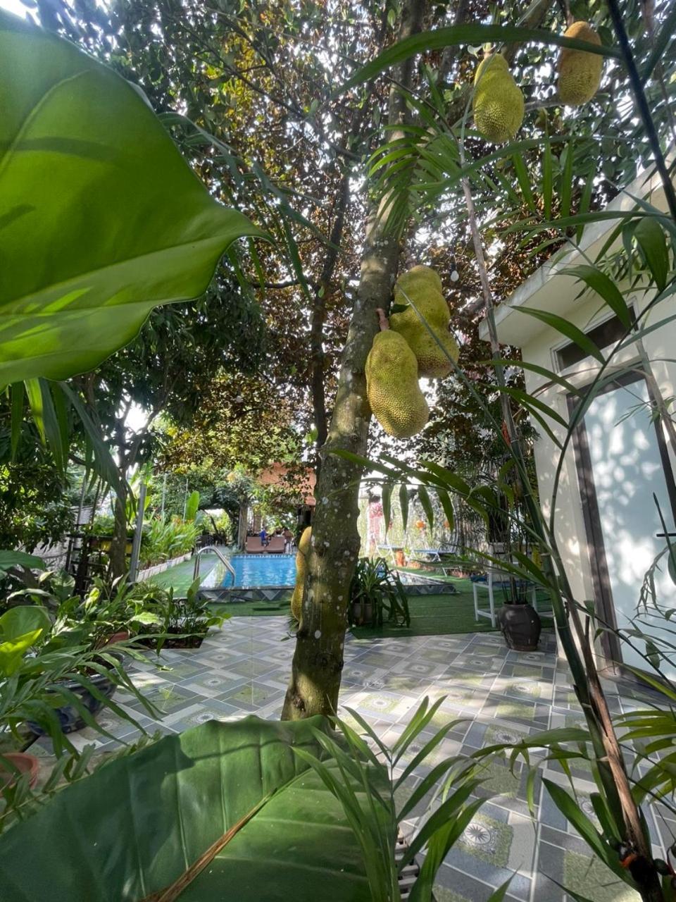 Tam Coc Relax Homestay Ninh Binh Exterior foto